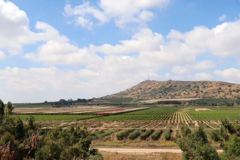 שדות ומטעים ירוקים בצפון רמת הגולן, ומאחוריהם הר געש כבוי תחת שמיים מעוננים